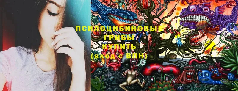 Галлюциногенные грибы Cubensis  наркотики  Кисловодск 